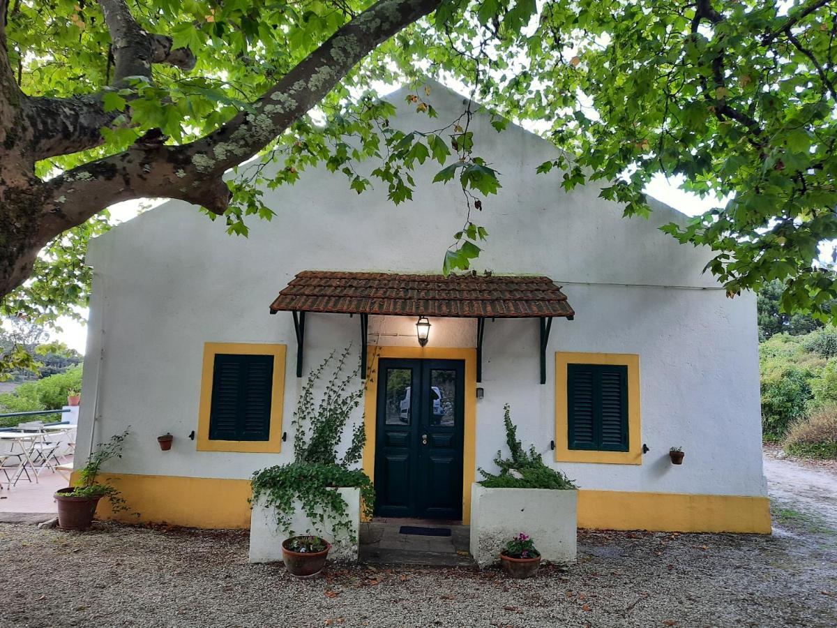Montejunto Villas - Casa Do Platano Cadaval 외부 사진