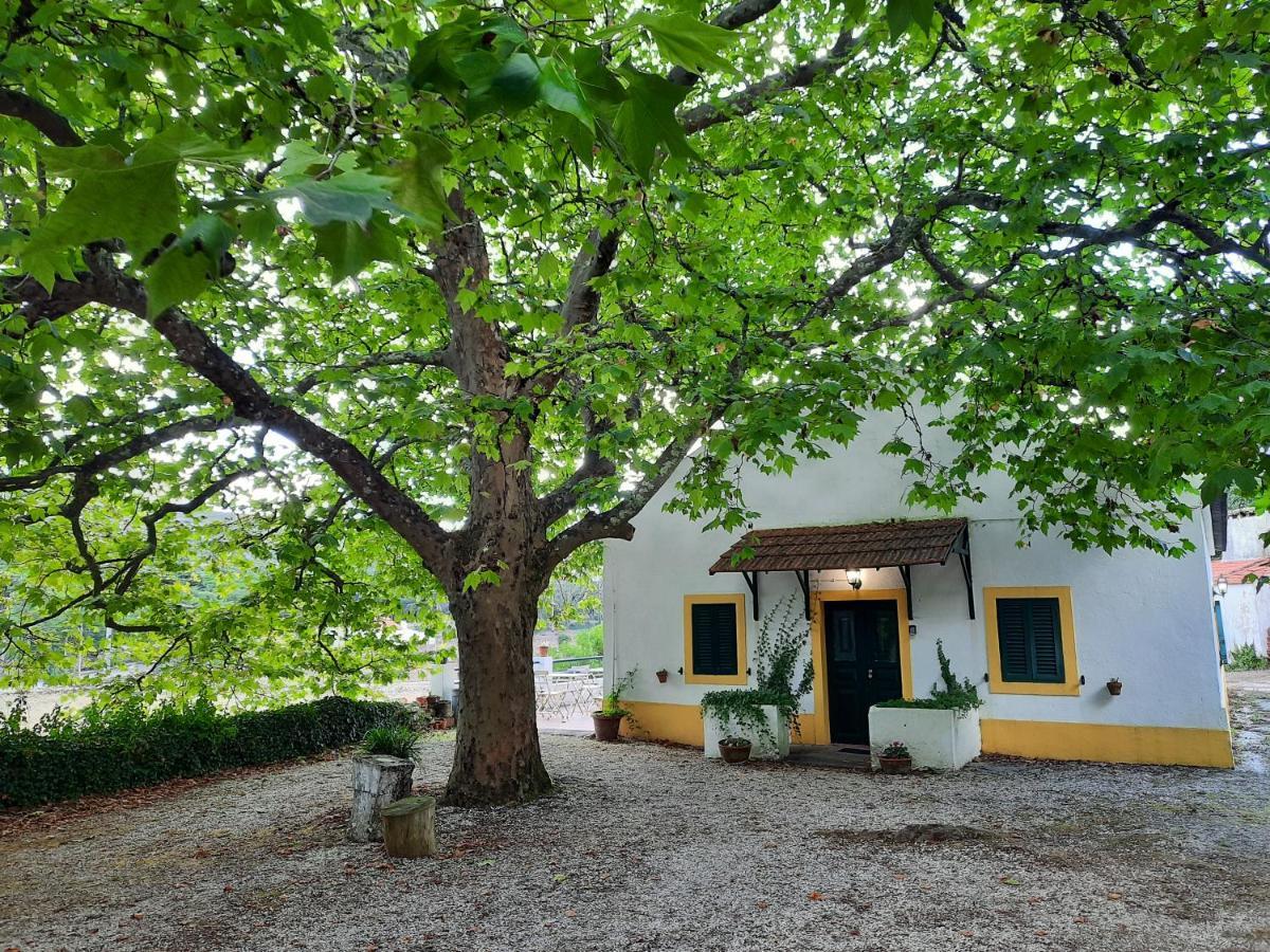 Montejunto Villas - Casa Do Platano Cadaval 외부 사진