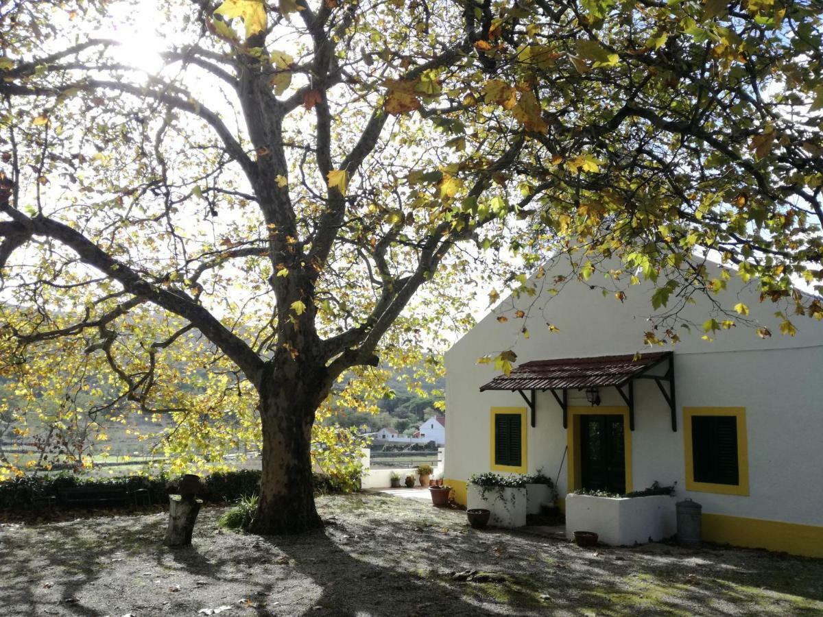 Montejunto Villas - Casa Do Platano Cadaval 외부 사진