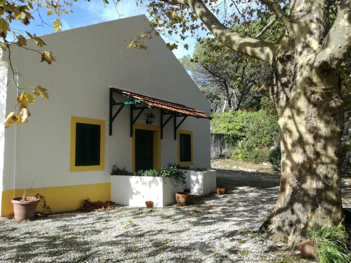 Montejunto Villas - Casa Do Platano Cadaval 외부 사진