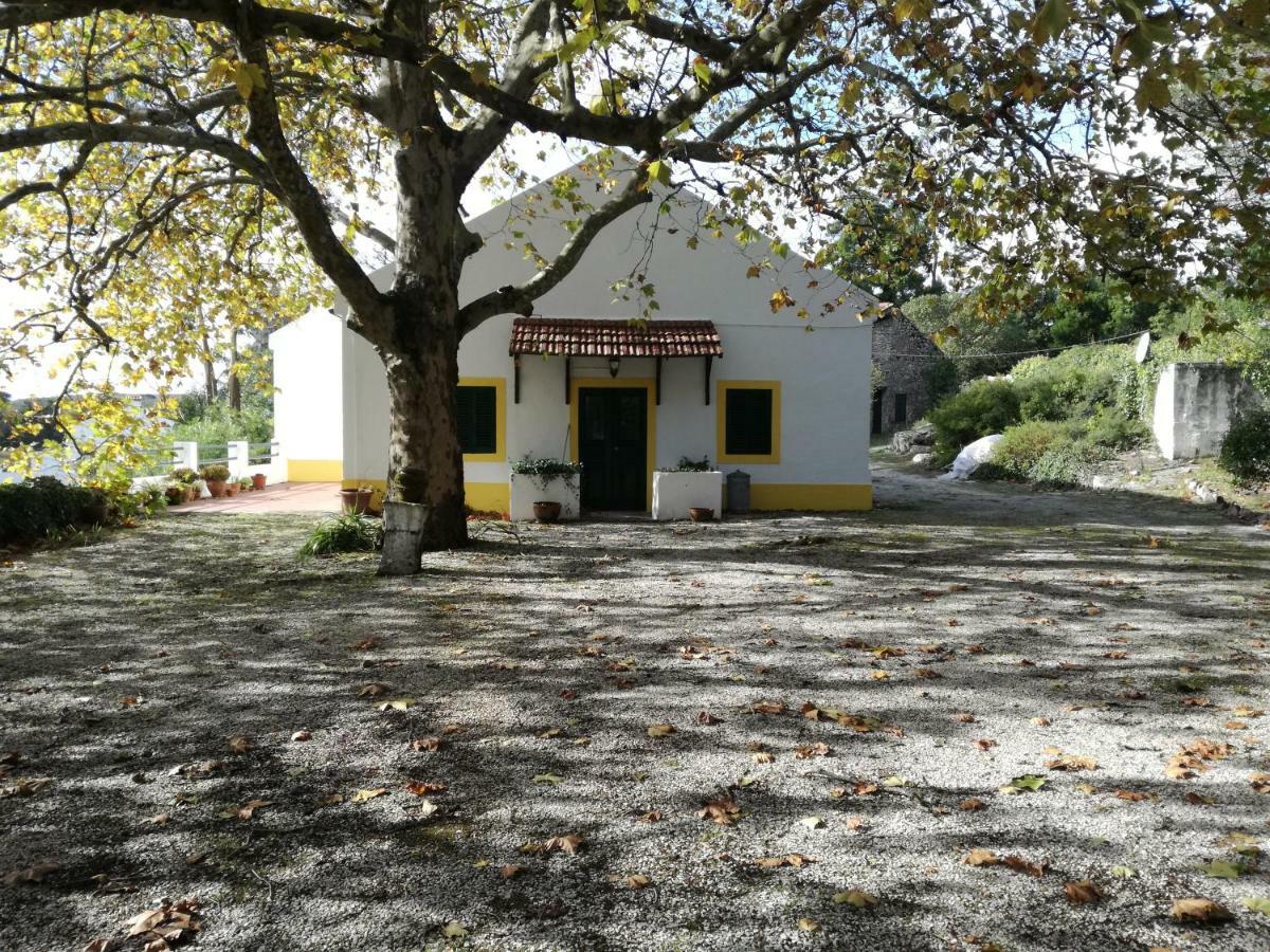 Montejunto Villas - Casa Do Platano Cadaval 외부 사진