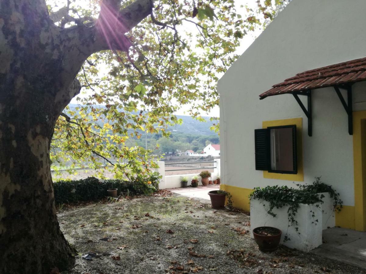Montejunto Villas - Casa Do Platano Cadaval 외부 사진